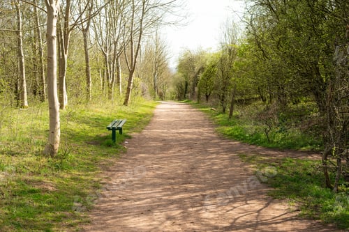 Preview: Bench By A Dry Dirt Trail