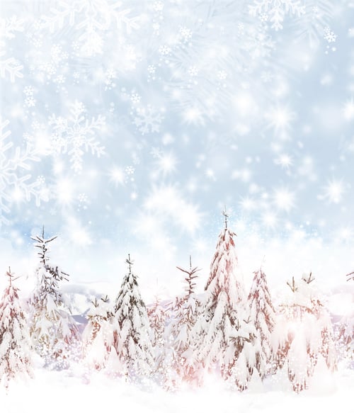 Preview: Winter. Snowfall.