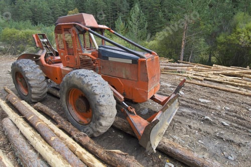 Preview: Buldozer And Cutted Trunks In A Forest