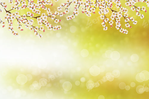 Preview: Natural Background. Blossoming Branch Apple. Bright Colorful Spring Flowers