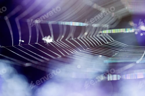 Preview: Abstract Composition With Spider Web Details And Natural Colors