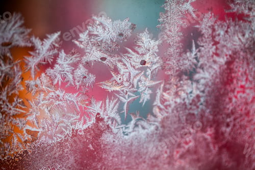 Preview: Ice Flowers On Glass - Texture And Background