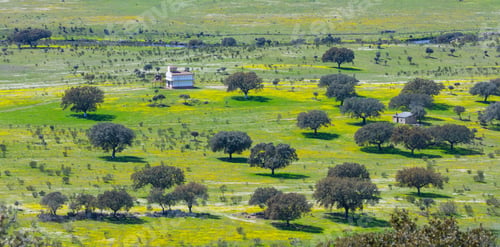 Preview: Mediterranean Forest In Sierra De San Pedro Mountain Range Of Caceres Province In Extremadura