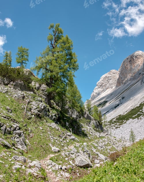 Preview: Beautiful Landscape In The Mountains