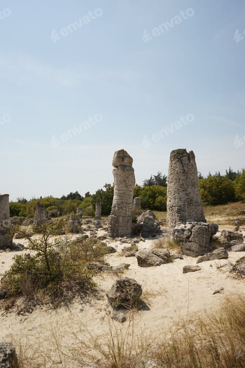 Preview: Pobiti Kamani (The Stone Desert), A Desert-Like Rock Phenomenon Located On The North West Varna