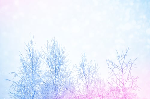 Preview: Blur. Frozen Winter Forest With Snow Covered Trees.