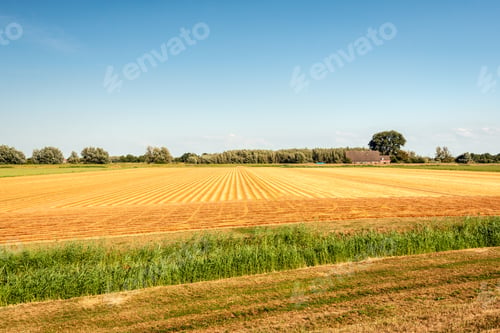 Preview: Colorful Rural Landscape In The Middle Of A Hot And Sunny Day In The Dutch Summer Season.