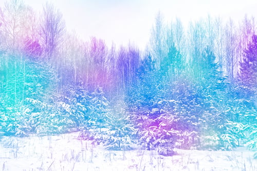 Preview: Forest In The Frost. Winter Landscape. Snow Covered Trees
