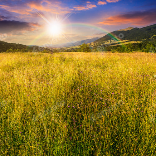 Preview: Composite Mountain Summer Landscape. Meadow With Wild Flowers In Mountains In Sunset Light