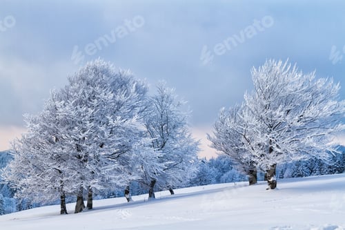 Preview: Winter In Mountains Near Szyndzielnia, Klimczok And Blatnia, Beskid Slaski, Poland