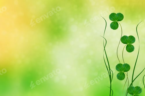 Preview: Green Clover Leaves On A Background Summer Landscape