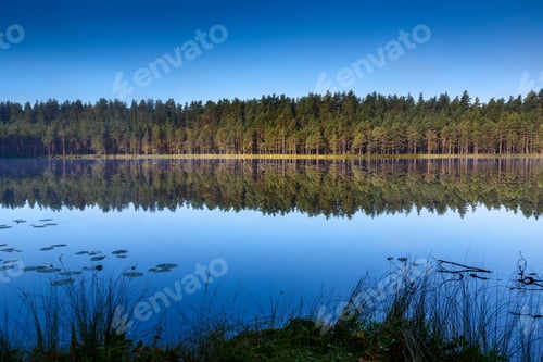 Preview: Lakes And The Early Morning Fog
