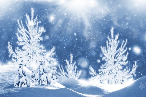 Preview: Frozen Winter Forest With Snow Covered Trees. Outdoor