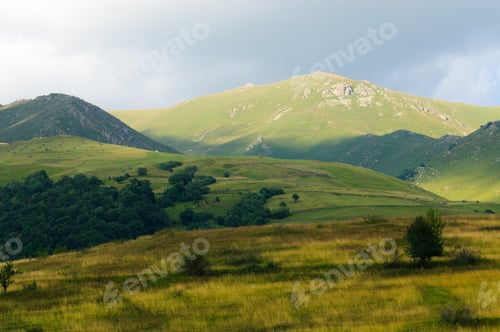 Preview: Beautiful Summer Landscape