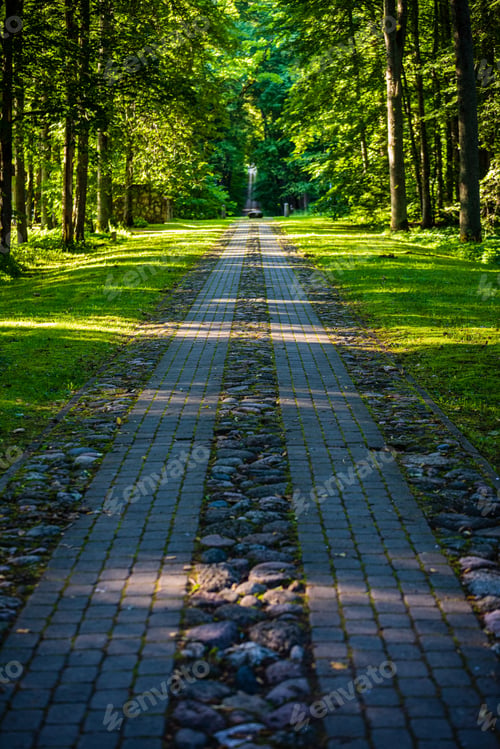 Preview: Scenic Beautiful Tourist Trail Footpath In Green Forest. Rock Covered Trail