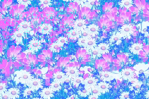 Preview: Floral Background