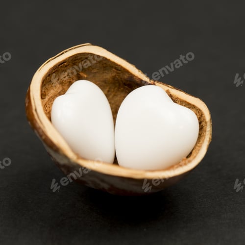Preview: Hazelnut Shell With Heart Shaped Agate On Black Background