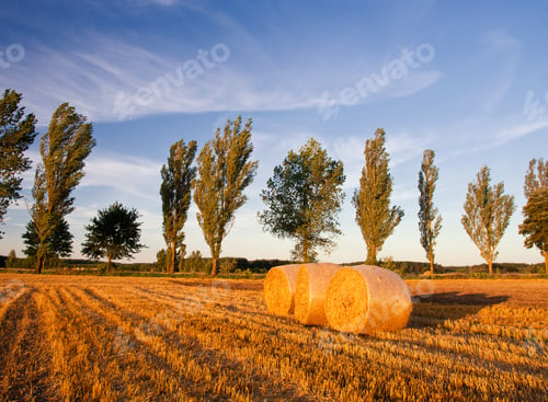 Preview: Bales Of Straw At Sunset