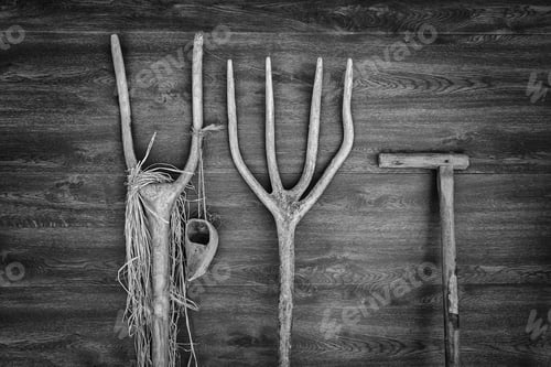 Preview: Old Wooden Rakes For Plowing, Detail Of Farm Tools