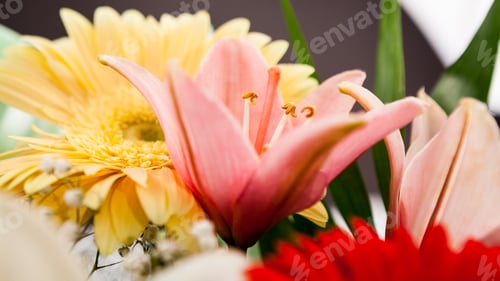 Preview: Floral Arrangement In A Beautiful Bouquet