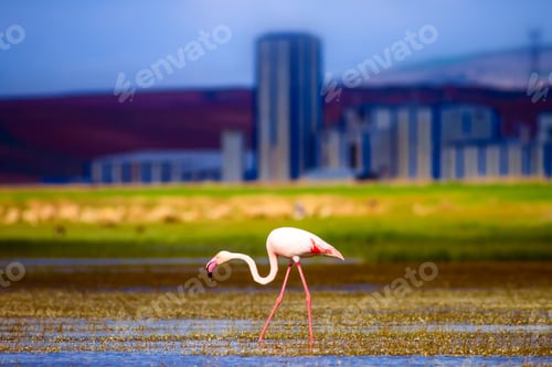Preview: Nature And Industry. Death Of Nature.