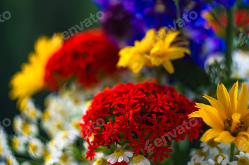 Preview: A Bouquet Of Bright Spring Flowers Of Various Types