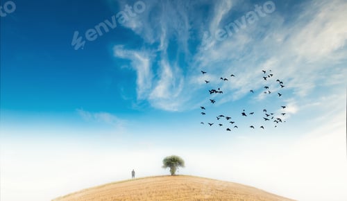 Preview: Man Standing On Foggy Hill Near Solitare Tree Under Blue Sky And Crows Herd. Surreal Landscape.