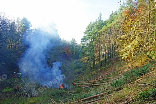 Preview: Conservation On Painswick Beacon, Single Workman Helping To Create An Environment Suitable For