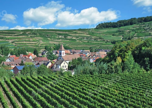 Preview: Village Of Achkarren At Kaiserstuhl Wine Region In Black Forest,Baden-Wuerttemberg,Germany