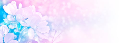 Preview: Blossoming Branch Apple. Bright Colorful Spring Flowers