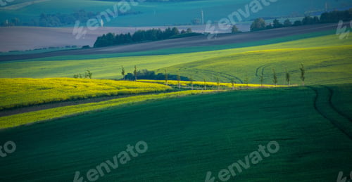 Preview: Typical Road In South Moravia