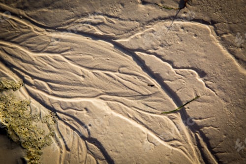 Preview: Wet Sand On Sea Shore - Abstract Background