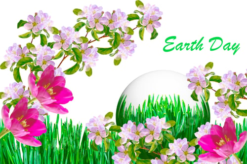 Preview: Flowering Branch Of Cherry Isolated On A White Background. Earth Day