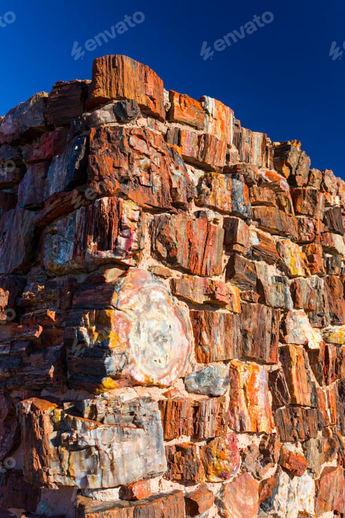 Preview: "Agate House", Reconstruction Of Indian Pueblo Settlement Of The Petrified Forest National Park In