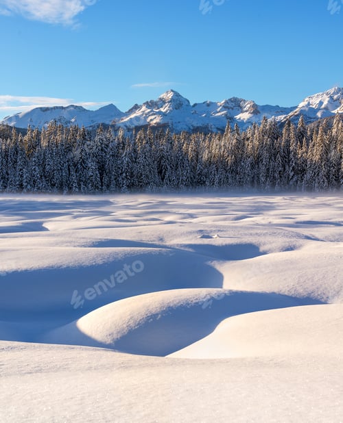 Preview: Winter At Pokljuka In Julian Alps
