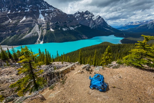 Preview: Peyto Lake Of Banff National Park In Canada