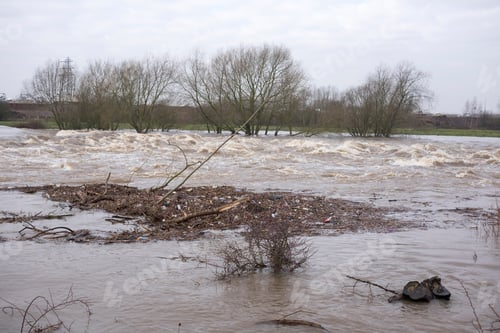 Preview: Flood Debris And Wood In A River