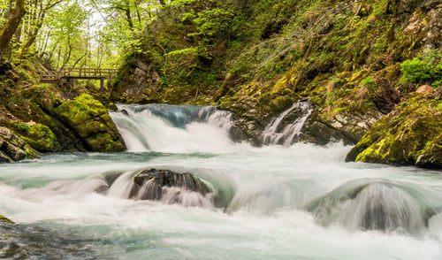 Preview: Vintgar Gorge In Early Spring