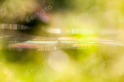 Preview: Abstract Composition With Spider Web Details And Natural Colors