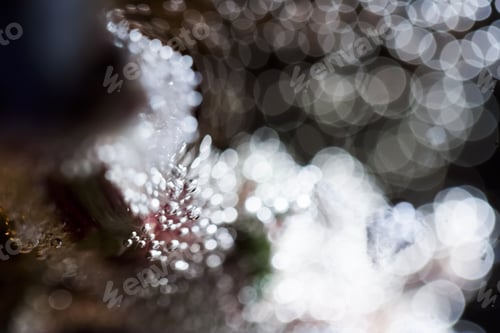 Preview: Abstract Underwater Games With Bubbles And Light