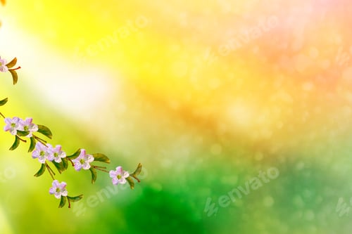 Preview: Blossoming Branch Apple. Bright Colorful Spring Flowers