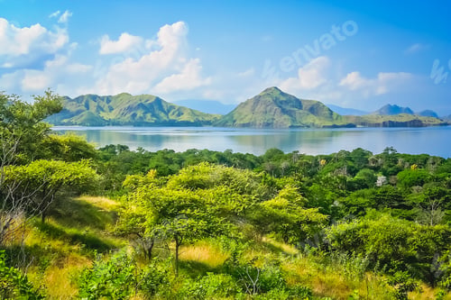 Preview: Green Lush Jungle Mountain Coastal Landscape Of The Komodo Island, Indonesia, Asia