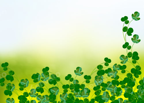 Preview: Green Clover Leaves On A Background Summer Landscape