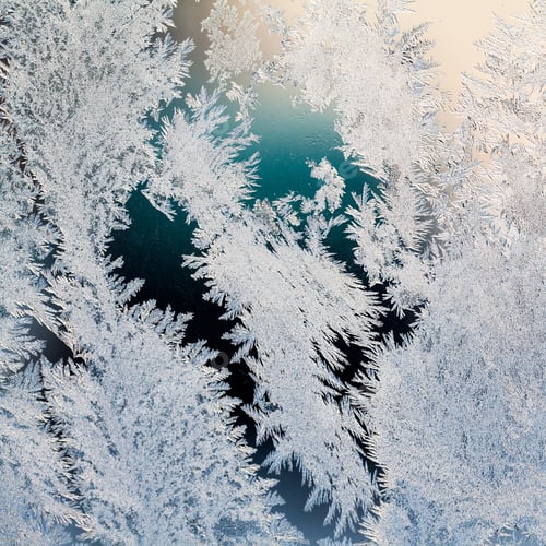 Preview: Ice Flowers On Glass - Texture And Background