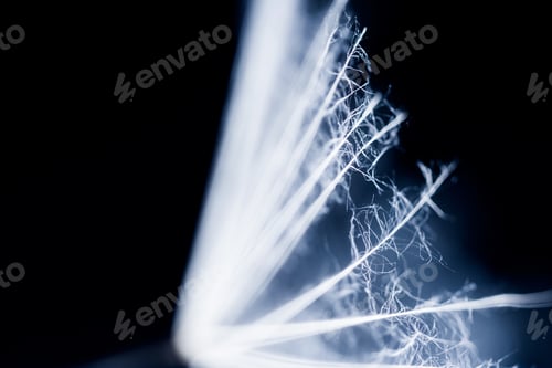 Preview: Dandelion Seeds With Details