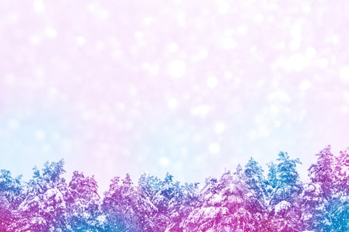 Preview: Frozen Winter Forest With Snow Covered Trees. Outdoors