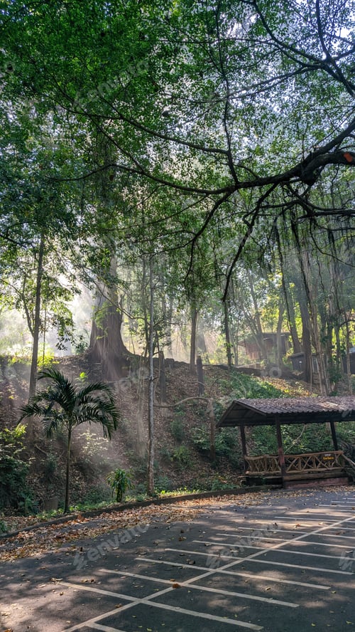 Visualização: Lan Sang National Park In Thailand. Mobile Photo, Travel Light
