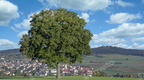 Preview: Village Of Ostheim Vor Der Rhoen,Germany