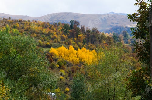 Preview: Beautiful Autumn Landscape