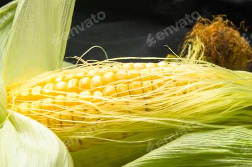 Preview: Fresh Corn On Cobs On Black Background, Closeup